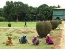 Lawnmowing by hand